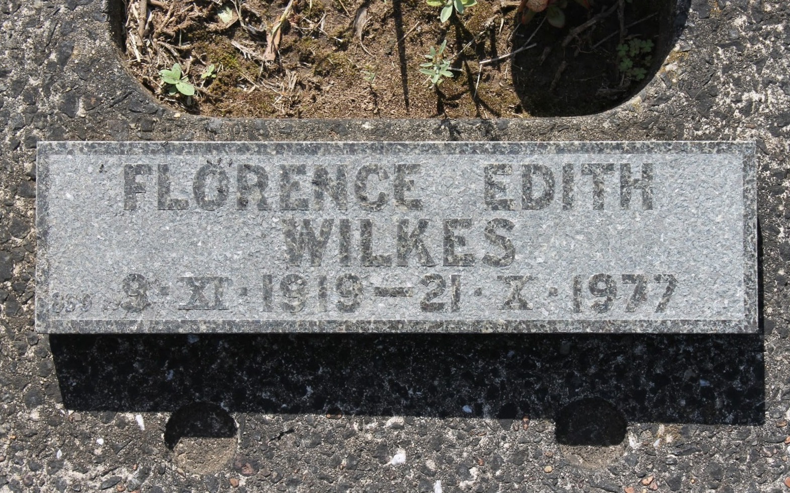 THE PIGOTT FAMILY OF QUEEN'S COUNTY, IRELAND; SOME ANCESTRAL