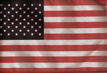 US FLAG-50 STARS