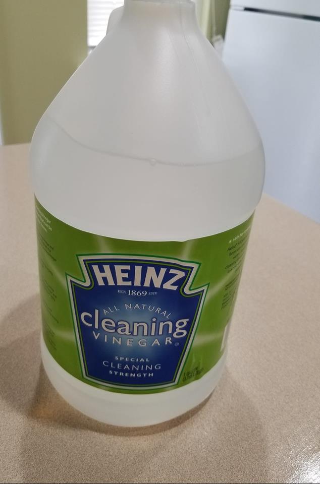 The Vegan World Traveler Are We Still Adding Clorox Bleach To Our Dish