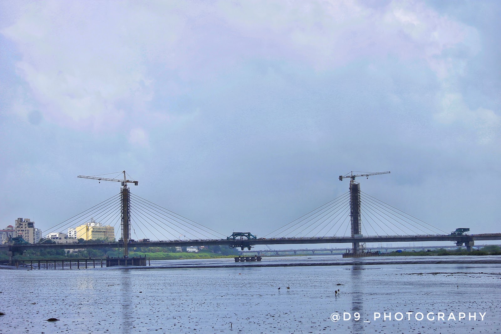 New Cable Bridge View(Surat)