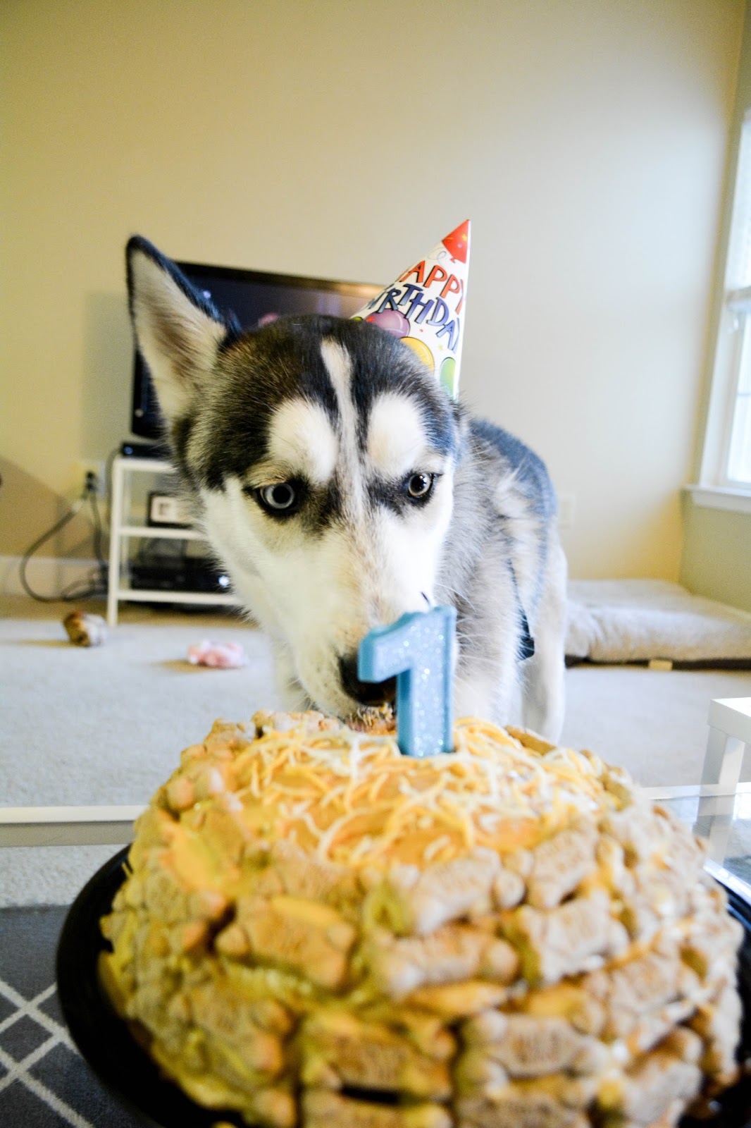 Oliver's 1st Birthday