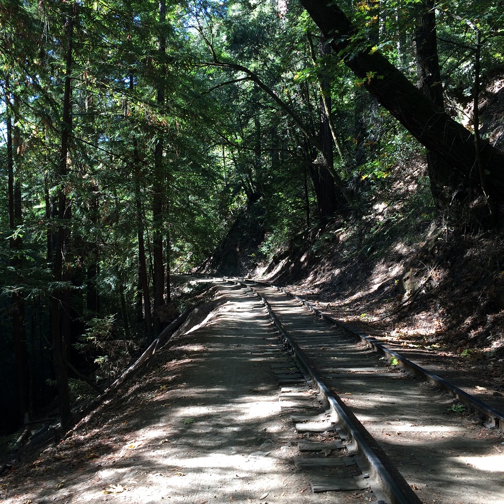 Hiking Garden of Eden, Santa Cruz, United States | Willy's Outdoor