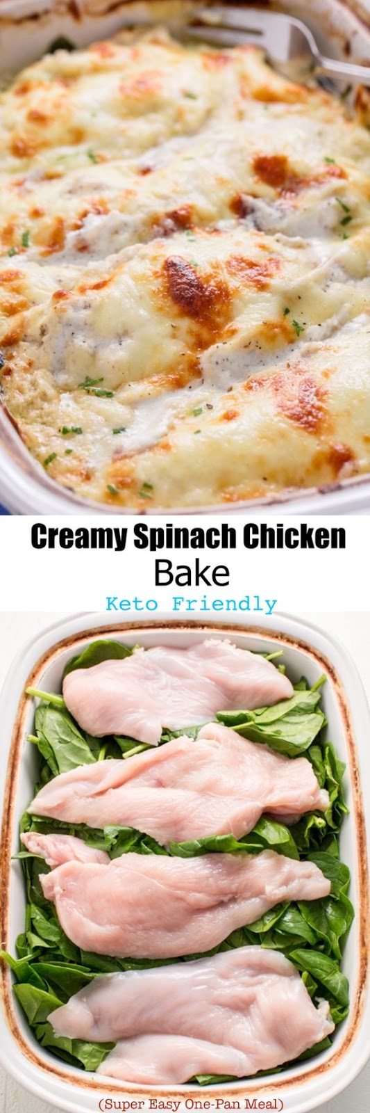 Creamy Spinach Chicken - vegan recipe meal prep