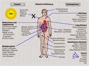 Relation of a vitamin D deficiency and Hair loss