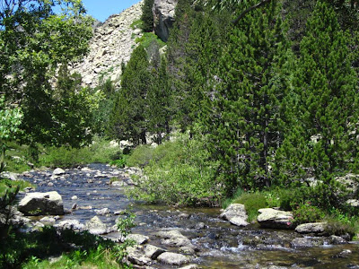 Creek near Estany de la Ratera in Aigüestortes and Llac de Sant Maurici National Park