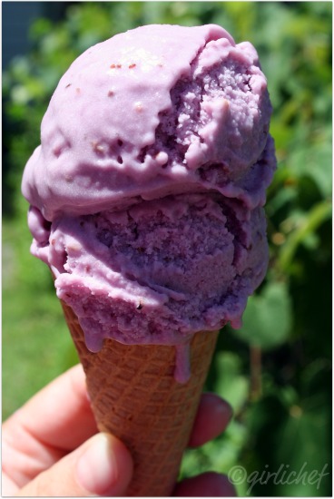 Mixed Berry Gelato ...inspired by Letters to Juliet for Food 'n Flix ...
