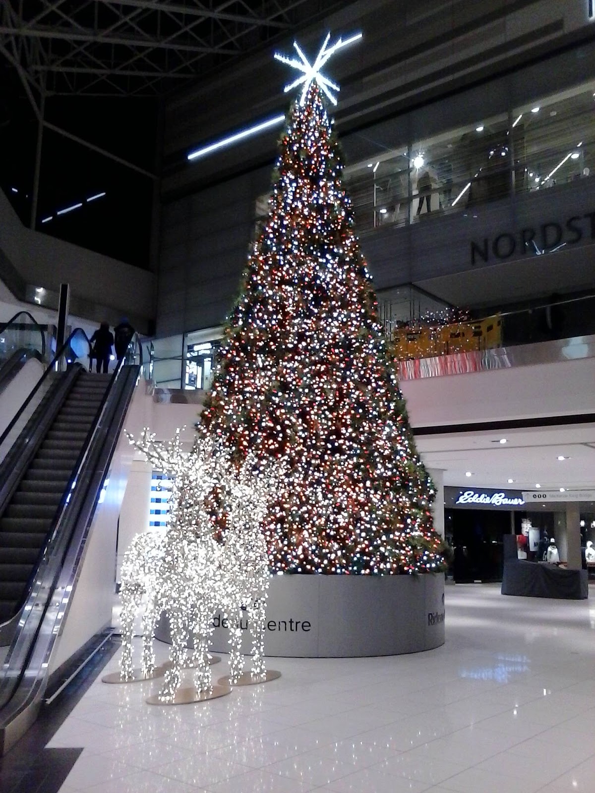 Ottawa Daily Photo Decking The Halls