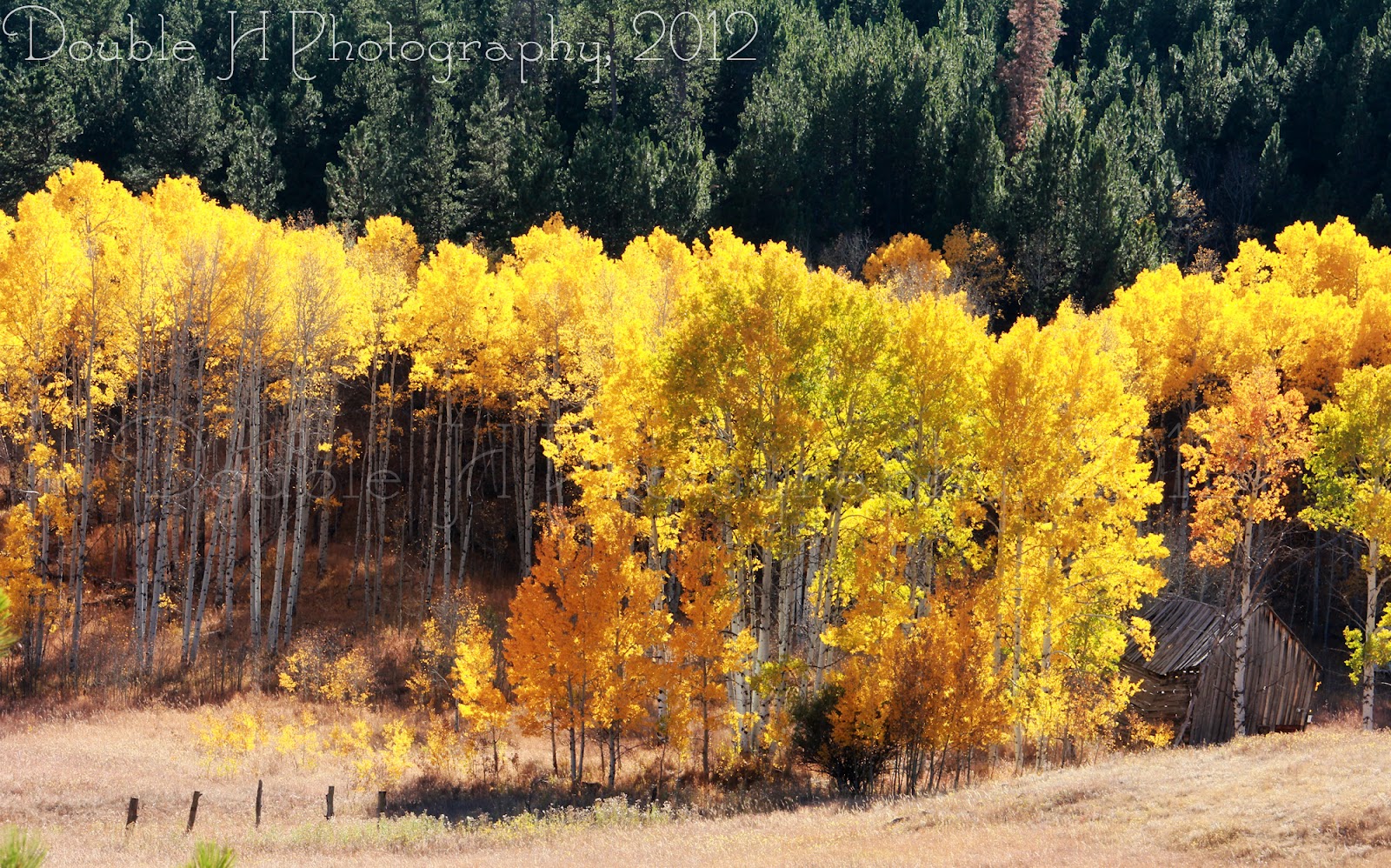 Double H Photography Fall in South Dakota