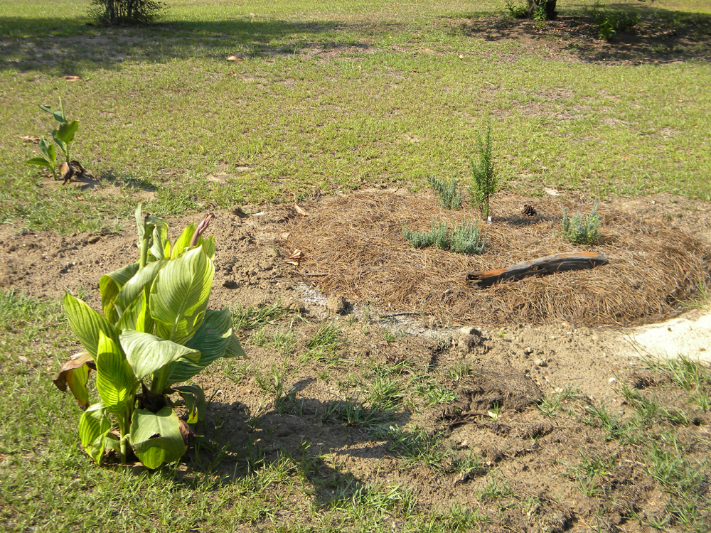 Hattiesburg Renovator