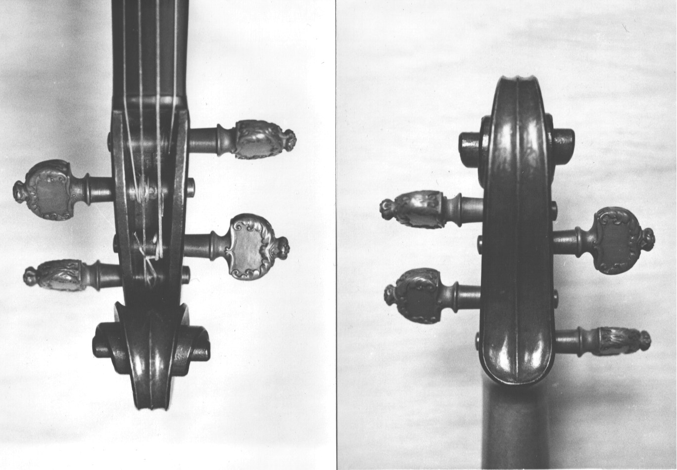 The Violin Shop: Why Scrolls?