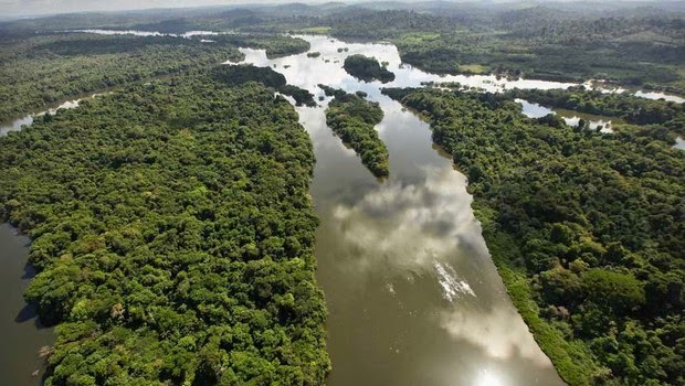 Amazônia acumula 762 mil km² de desmatamento em 40 anos, diz estudo