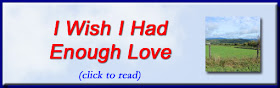 http://mindbodythoughts.blogspot.com/2016/07/i-wish-i-had-enough-love.html