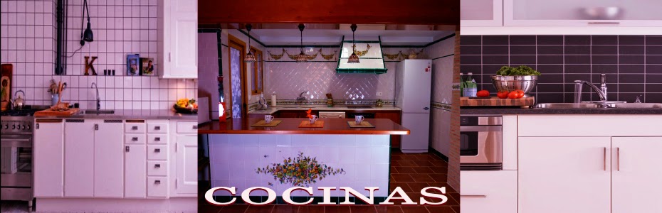 Pavimento Rodriguez 2