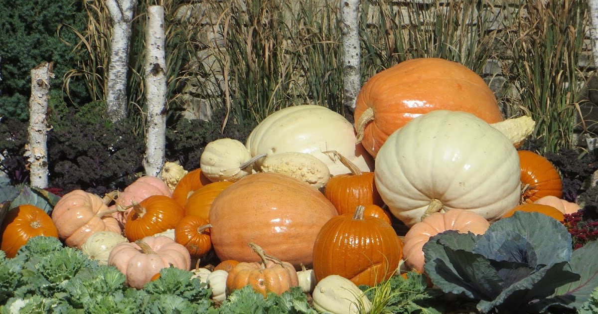 Lafayette Lacemakers calendar