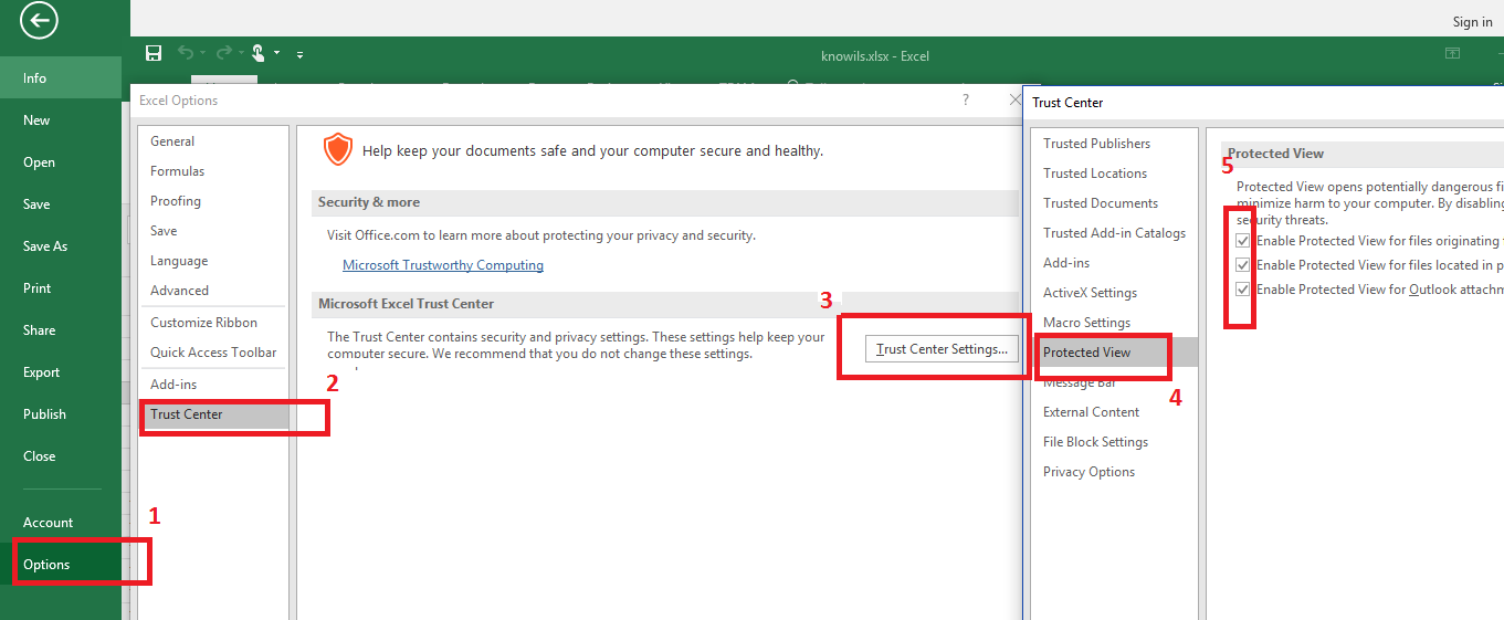 protected view excel protected view excel