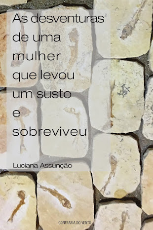 Gostou do blog? Vai gostar ainda mais do livro!