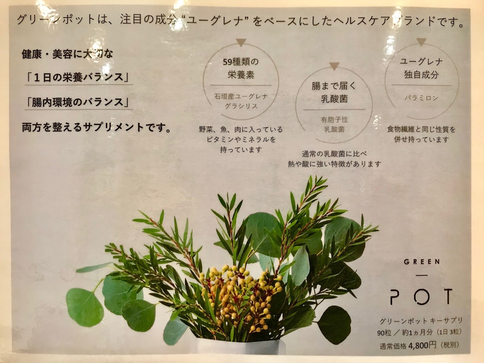 Hideki Tomohara: 新製品の紹介 GREEN POT