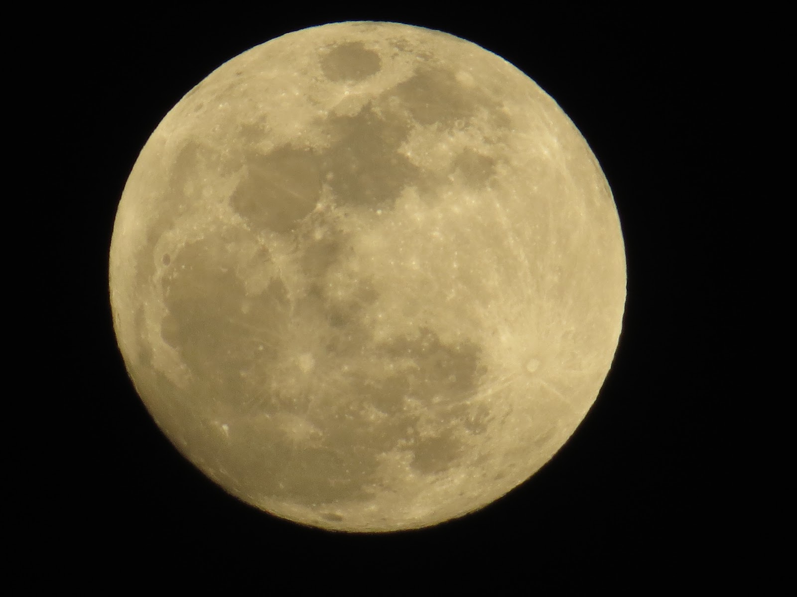 Почему цветочной луны. Цвет Луны. Фото Луны. Какого цвета Луна. Холодная Луна.