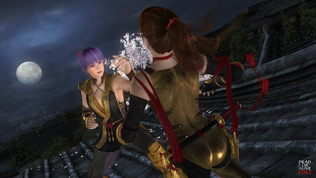 DOA5LR_GoldenNinja_Queer003.jpg