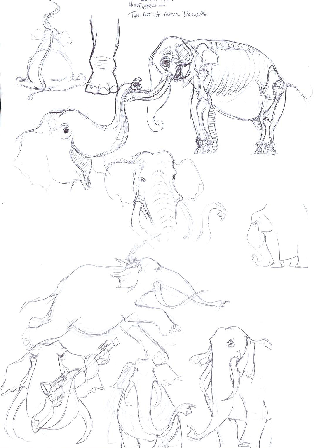 dbcharacters: theraputic sketching