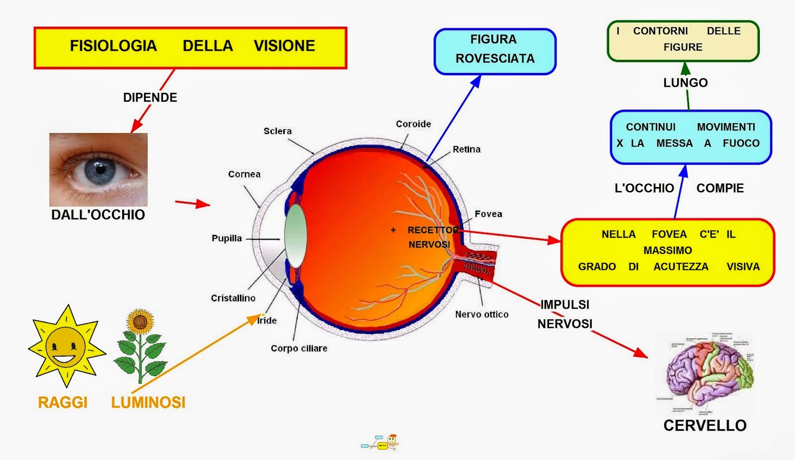 Pubblicità su Facebook: come funziona Facebook Ads?