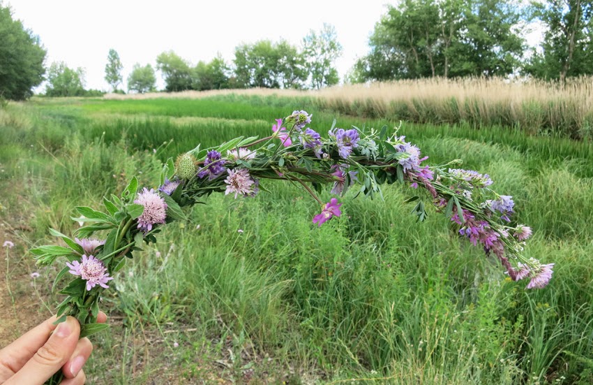 Diy corona de flores silvestres5