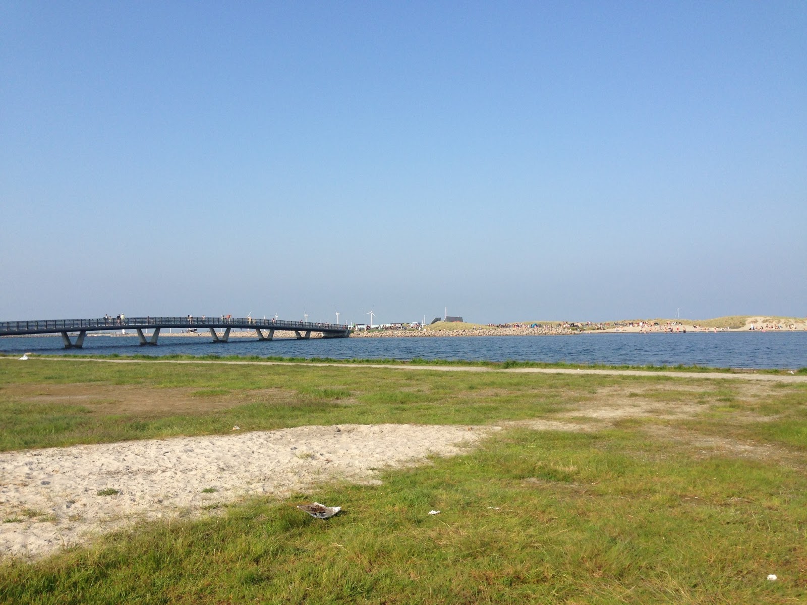 Svømning på Amager Strand Svømning, amager strand, svømmetræning, sol, sommer, beach, bade, bro, iron man, træning, svøm, open water, hav, saltvand