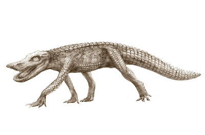 reptiles prehistoricos Anatosuchus