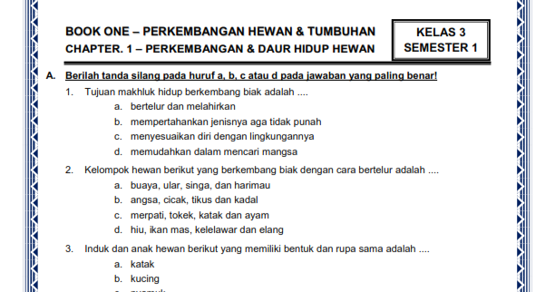 Contoh Soal Pilihan Ganda Kelas 10 Simulasi Digital Bab 3 - Tema Soal