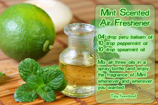 Mint Scented Air Freshener