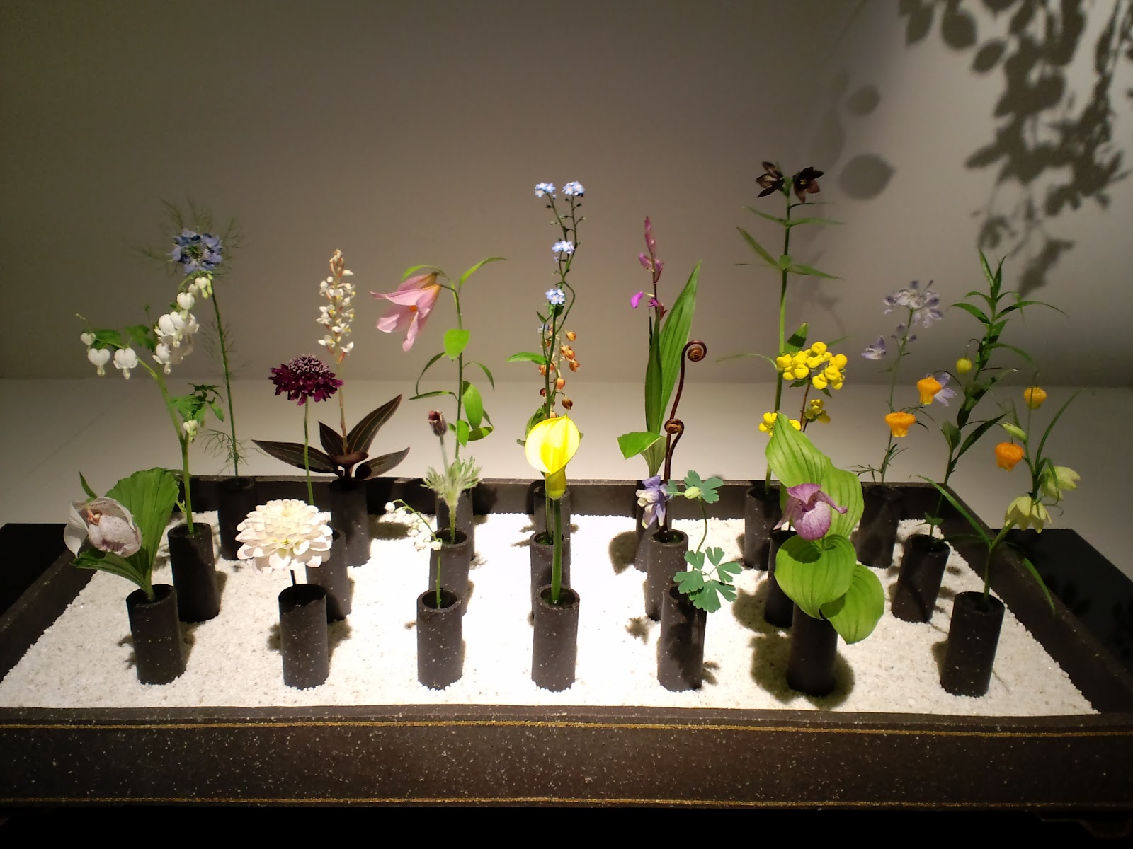 hanamai, the ikebana blog Flower & Space, Hiroki Ohara Exhibition