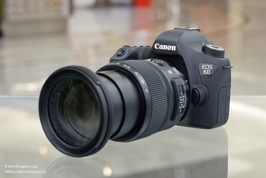 A Thousand Words A Picture: Sigma 24-105mm f/4 DG OS HSM ART Review