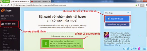 Kiếm Tiền Online Bằng Chia Sẻ Tin Tức 8share.vn