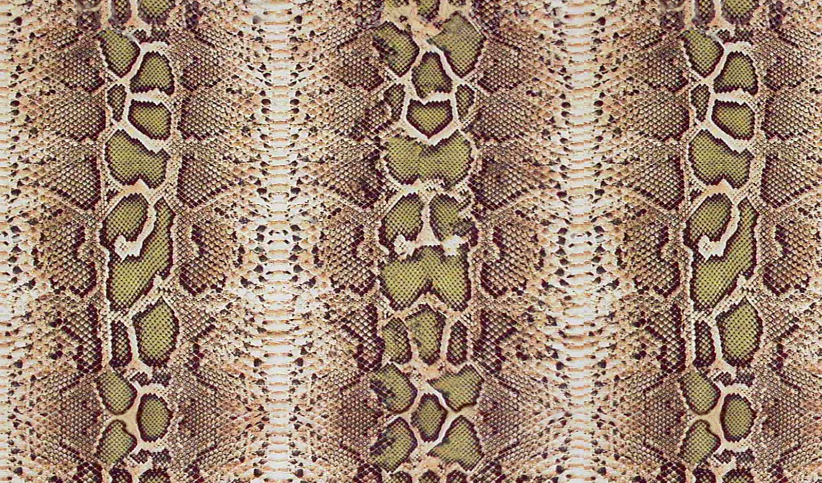 Snake Print New Hd Wallpaper HD Wallpapers Download Free Map Images Wallpaper [wallpaper376.blogspot.com]