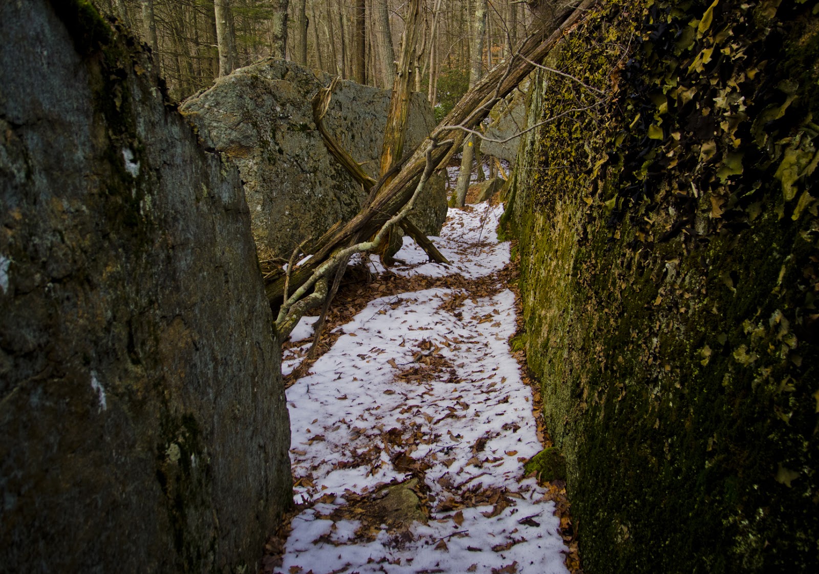 Connecticut Explorer Hiking the Westwoods Land Trust in Guilford CT