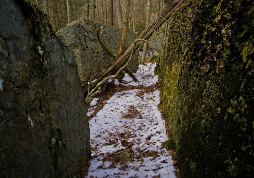 Hiking Yellow Trail Westwoods Guilford CT