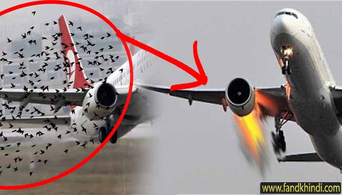 Airplane Me Kay Hota Hai? Airplane Me Kay Hota Hai?