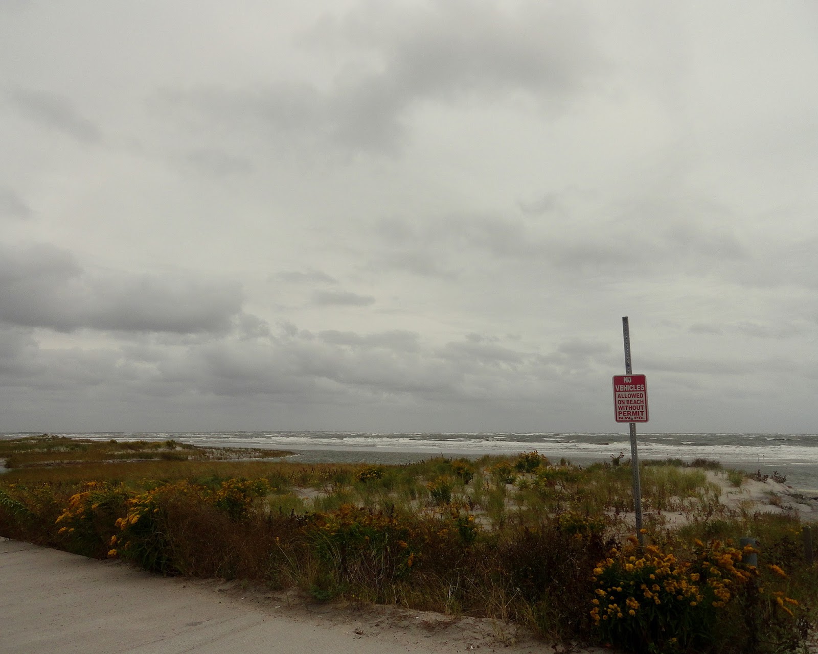 Wildwood Weather 2017