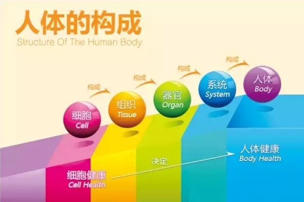 疾病的起因和預防