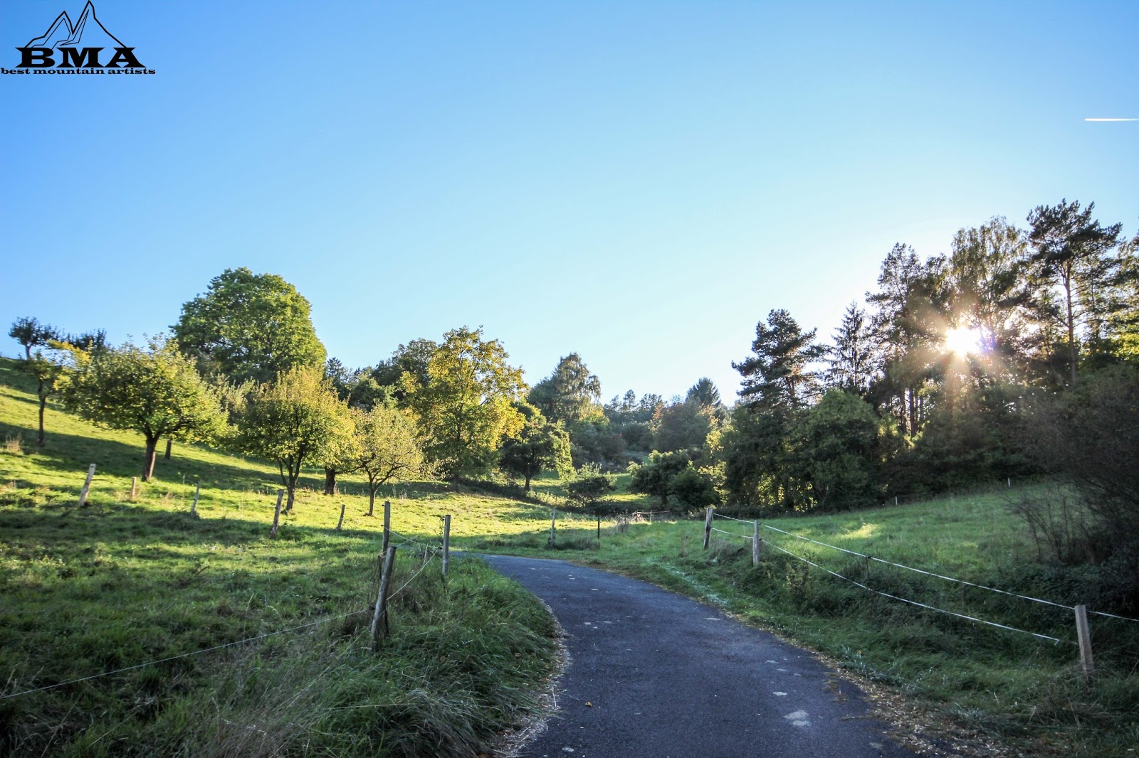 Heilpflanzenschule Hildegard Ausbildung In Hessen Krauter