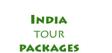 Travel Packages India