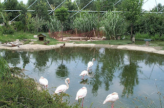 حديقة الحيوانات في بروصة