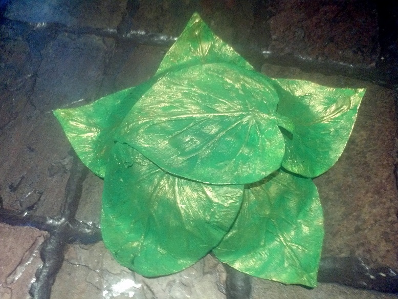 Crafty little Beanut! More Papier Mache leaf bowls