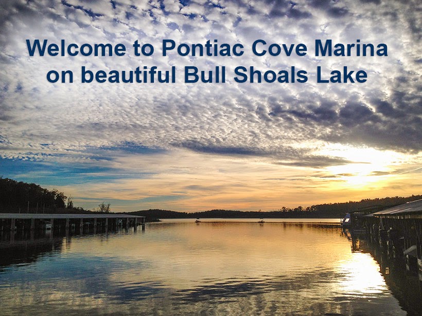 Welcome to Pontiac Cove Marina on beautiful Bull Shoals Lake