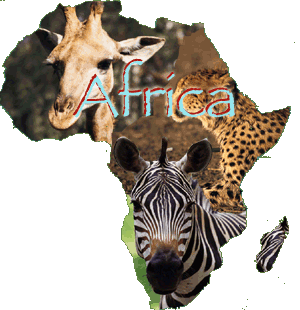 Afro Task Blog