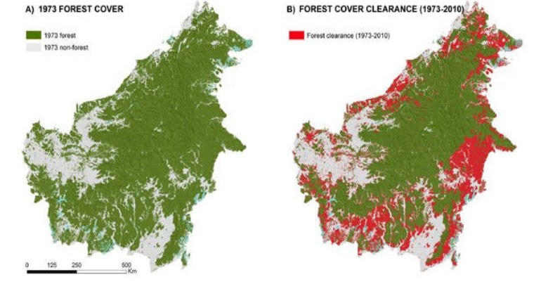 Faktor Penyebab Penurunan Keanekaragaman Hayati  Pak Pandani  Belajar