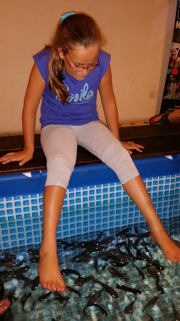 Cute Fish Spa Central Market Cute Fish Spa Central Market