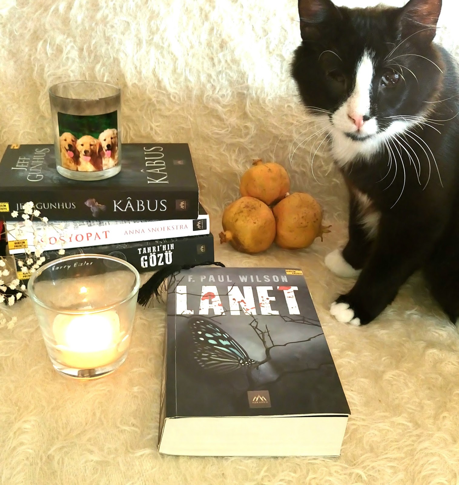 Lanet Kitabi Emine Gursoy Naskali 9786054208487 Kitap Kitabeviyayinlari Com