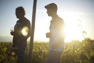 Cinéma : Wine Calling, le vin se lève - Un documentaire réalisé par Bruno Sauvard