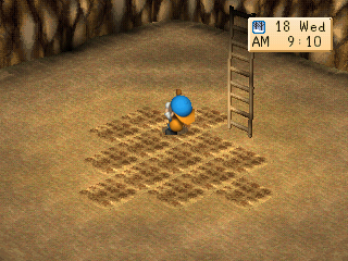 Emulator Emulator